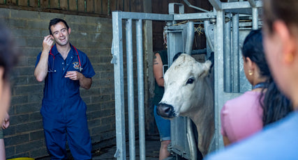 The Young Vet Summer Experience