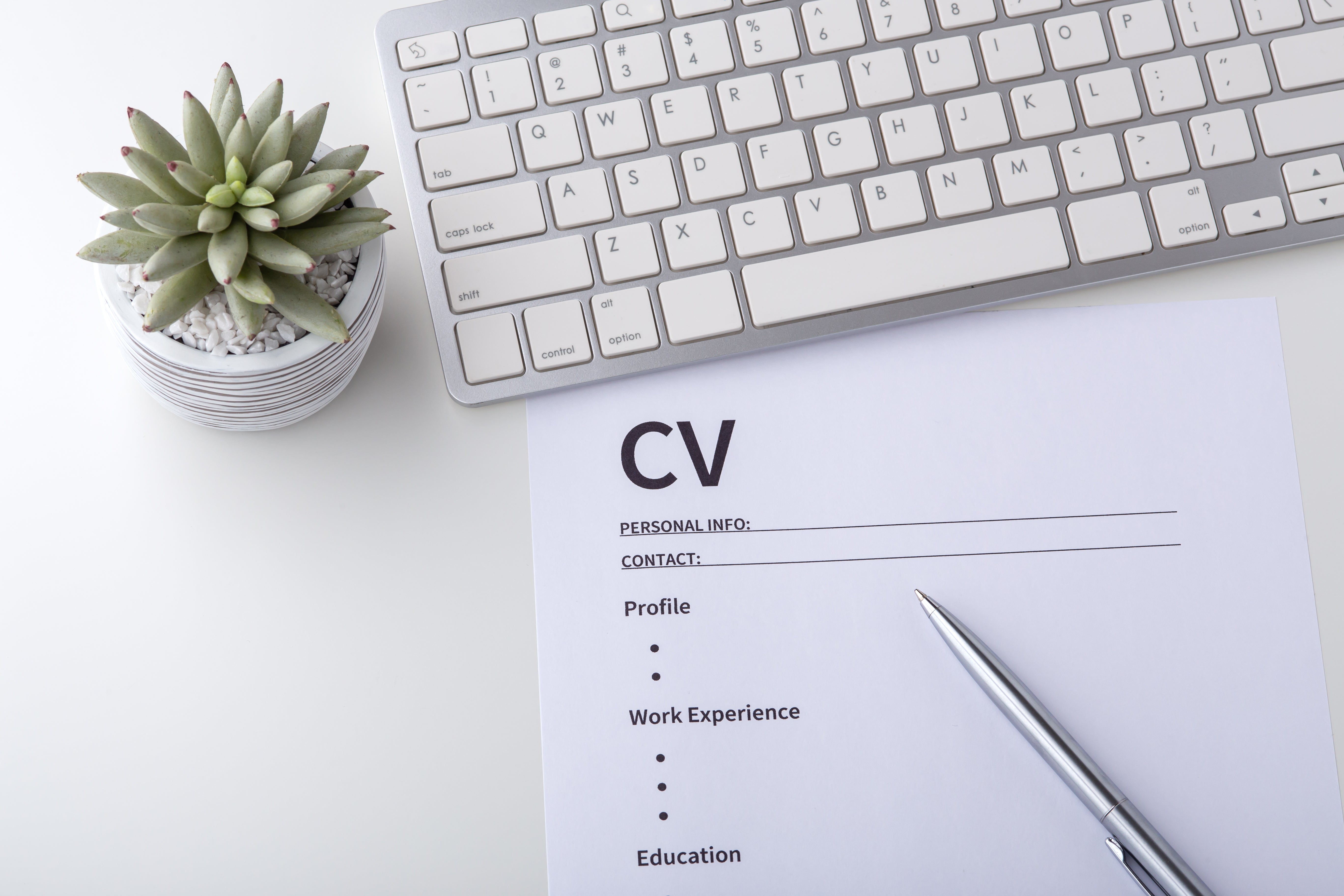 How to Write a CV With No Experience