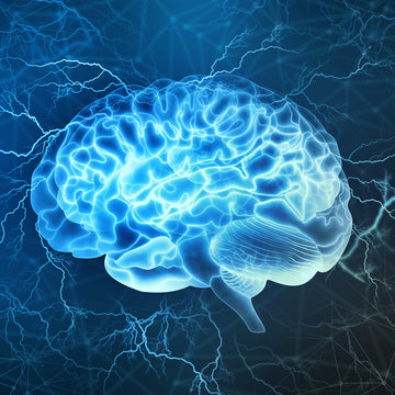 The Psychologist Insight Day