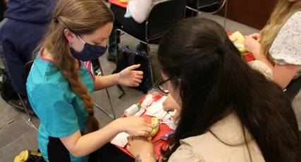 Two veterinary students performing practical work together