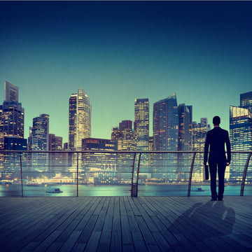 silhouette of a businessman looking at a city skyline